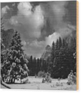 Sierra Forest - Winter 2023 - Black And White Wood Print