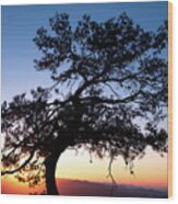 Silhouette Of A Forest Pine Tree During Blue Hour With Bright Sun At Sunset. Wood Print