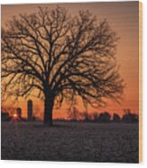 Silohenge Sunrise 1 Of 2 - Sunrise Aligned With Farm Silos And Majestic Oak Tree Wood Print