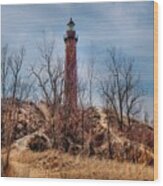 Silver Lake Lighthouse..... Img_3937 Hres Wood Print