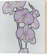 Simply Orchid Wood Print