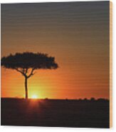 Single Acacia Tree On Horizon At Colorful Sunset Wood Print