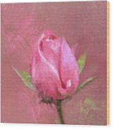 Single Pink Rose Bud Wood Print