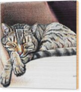 Sleeping Tabby Cat Wood Print