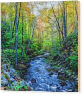 Smoky Mountains Country Streams Painting Wood Print
