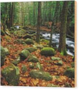 Smoky Mountains Landscape Print Wa6613 Wood Print