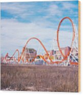 Snake Coney Island Wood Print