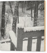 Snow Covered Benches Wood Print