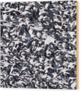 Snow Geese In A Crowded Sky Wood Print