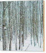 Snow Grove Wood Print