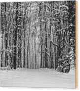 Snow Storm Wood Print
