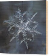 Snowflake Photo - Rigel Wood Print