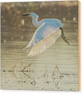 Snowy Egret 4657-011520-2 Wood Print