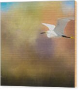 Snowy Egret Wood Print