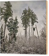 Snowy Forest Wood Print