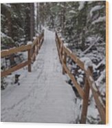Snowy Pathway Wood Print