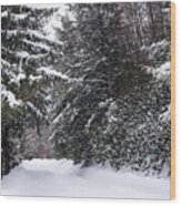 Snowy Trail Wv Wood Print