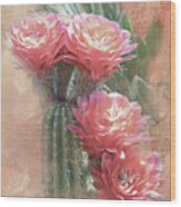 Soft Red Blooms Of Tucson Wood Print