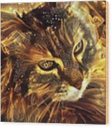 Sophie The Norwegian Forest Cat Wood Print