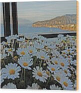 Sorrento - View With Flowers Wood Print