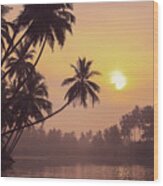 South Indian Coconut Groves At Sunrise Wood Print