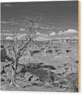 South Kaibab Trail 63 In Black And White Wood Print