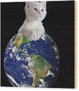 Space Kitten Ruler Of Earth Funny Wood Print