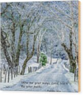 Sparks Lane, Frosted Beauty With Scripture Wood Print