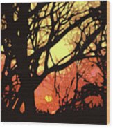 Spectacular Sunset Wood Print