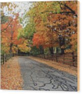 Split Rail Fence And Fall Color 6973 Wood Print