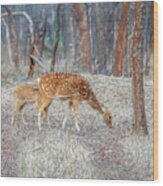 Spotted Deer In The Forest Wood Print