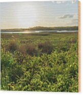 Spring Afternoon In The Marsh Panorama Wood Print