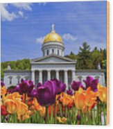 Spring At The Statehouse Wood Print