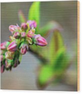 Spring Buds - Pink Wood Print