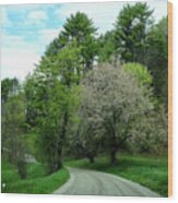 Spring Road Wood Print