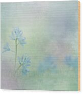 Spring Scilla - White Squill Wood Print