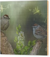 Spring Sparrows Wood Print