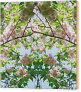 Spring Symmetry - Cycle 13 Wood Print
