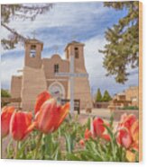 Spring Tulips With St Francis De Asis Church Wood Print