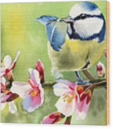 Spring Twittering Wood Print