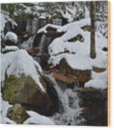 Spruce Peak Falls 5 Wood Print