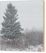 Spruce Tree On A Snowy Day Wood Print