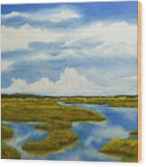 St. Johns River Tributory Wood Print