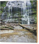 Station Cove Falls Wood Print