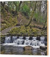 Tollymore Stepping Stones Wood Print