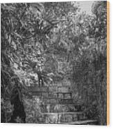 Steps Near Cenote Chichen Itza Wood Print