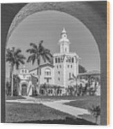 Stetson University College Of Law Wood Print