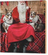 Steve-o And Sidney With Santa. Wood Print