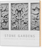 Stone Gardens 1 Naturally Distressed Poster Wood Print
