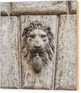 Stone Lion Head In Rome, Italy Wood Print